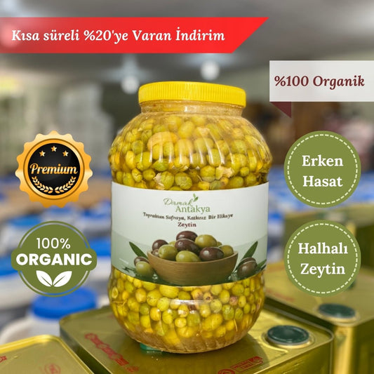 Halhalı Kırma Yeşil Zeytin (5 Lt Bidon) - Geleneksel Yeni Mahsul - DAMAK ANTAKYA