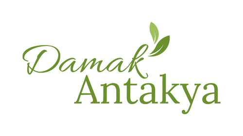 DAMAK ANTAKYA